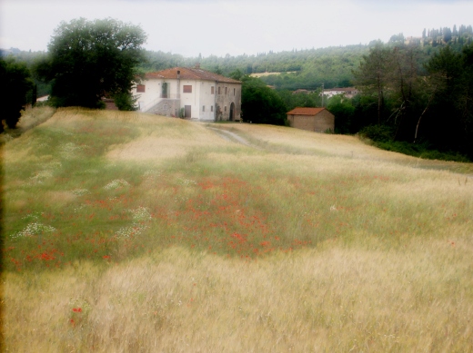 tuscan poppyhouse